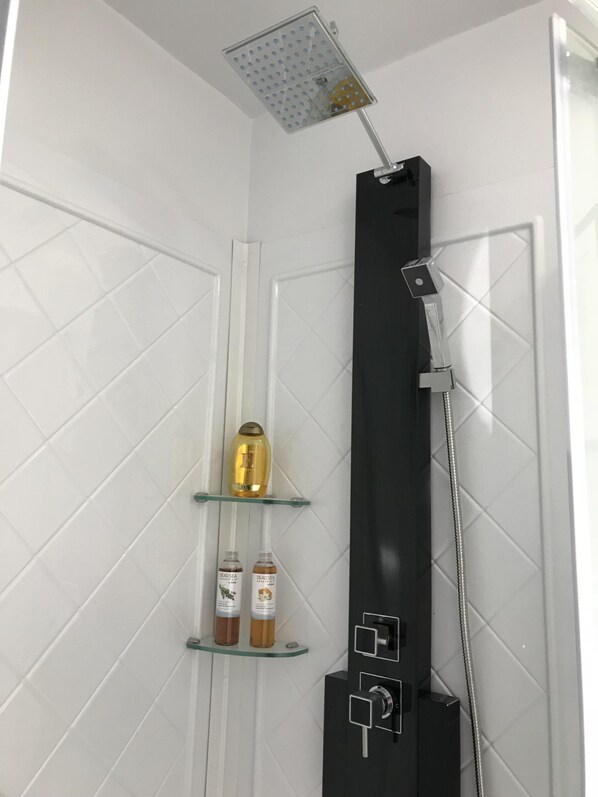 Shower, hair dryer, bidet, towels