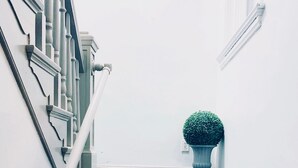 A staircase with blue carpet and a potted plant at the top. - Upscale 1BR Loft near UC, DAAP, CCM, Hospital and Zoo w/Parking, 3FL (Cincinnati)
