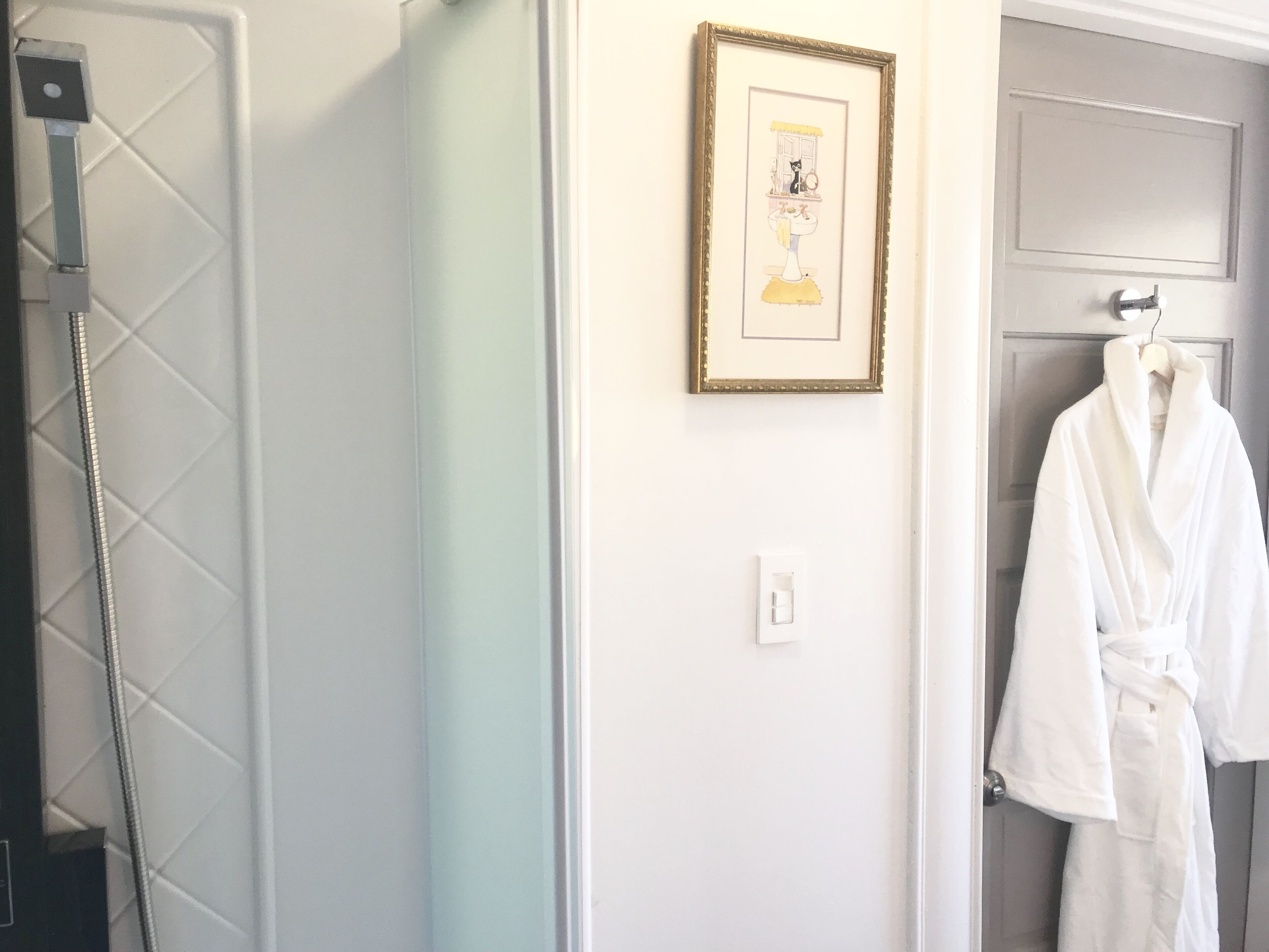 A bathroom with a shower, a framed picture on the wall, and a white robe hanging on a door.