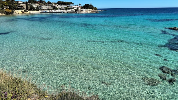 Zona costera con aguas turquesas cristalinas, un litoral rocoso y un área residencial con casas y árboles al fondo.