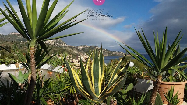 Un paisaje costero con un arcoíris, con plantas de agave y vistas al mar y las colinas.