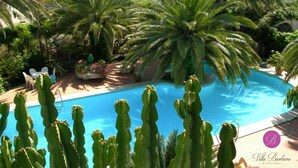Una piscina rodeada de cactus y palmeras, con vista a un jardín y una silla junto a la piscina.