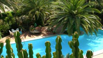 Una piscina rodeada de cactus y palmeras, con vista a un jardín y una silla junto a la piscina.