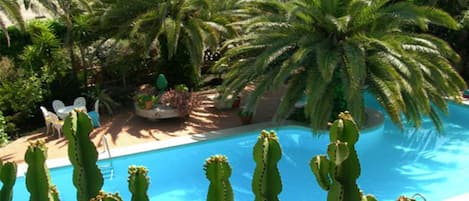 A pool surrounded by cacti and palm trees, with a view of a garden area and a poolside chair.