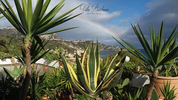 Un paisaje costero con un arcoíris, con plantas de agave y vistas al mar y las colinas.