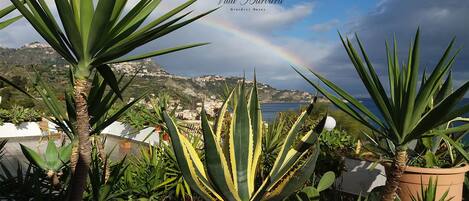 Un paisaje costero con un arcoíris, con plantas de agave y vistas al mar y las colinas.