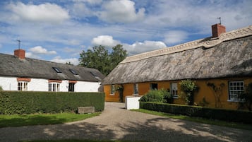 Esterni