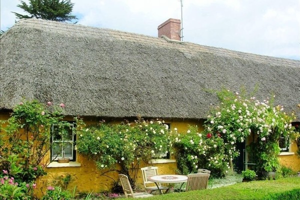 Secluded Thatched Cottage in tranquil Adare Countryside
