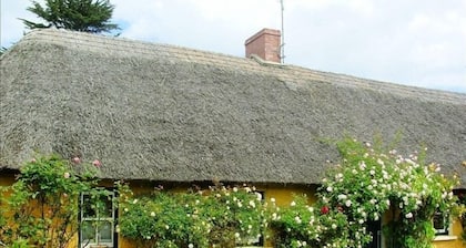 Thatched Irish Cottage in Beautiful and Tranquil Countryside