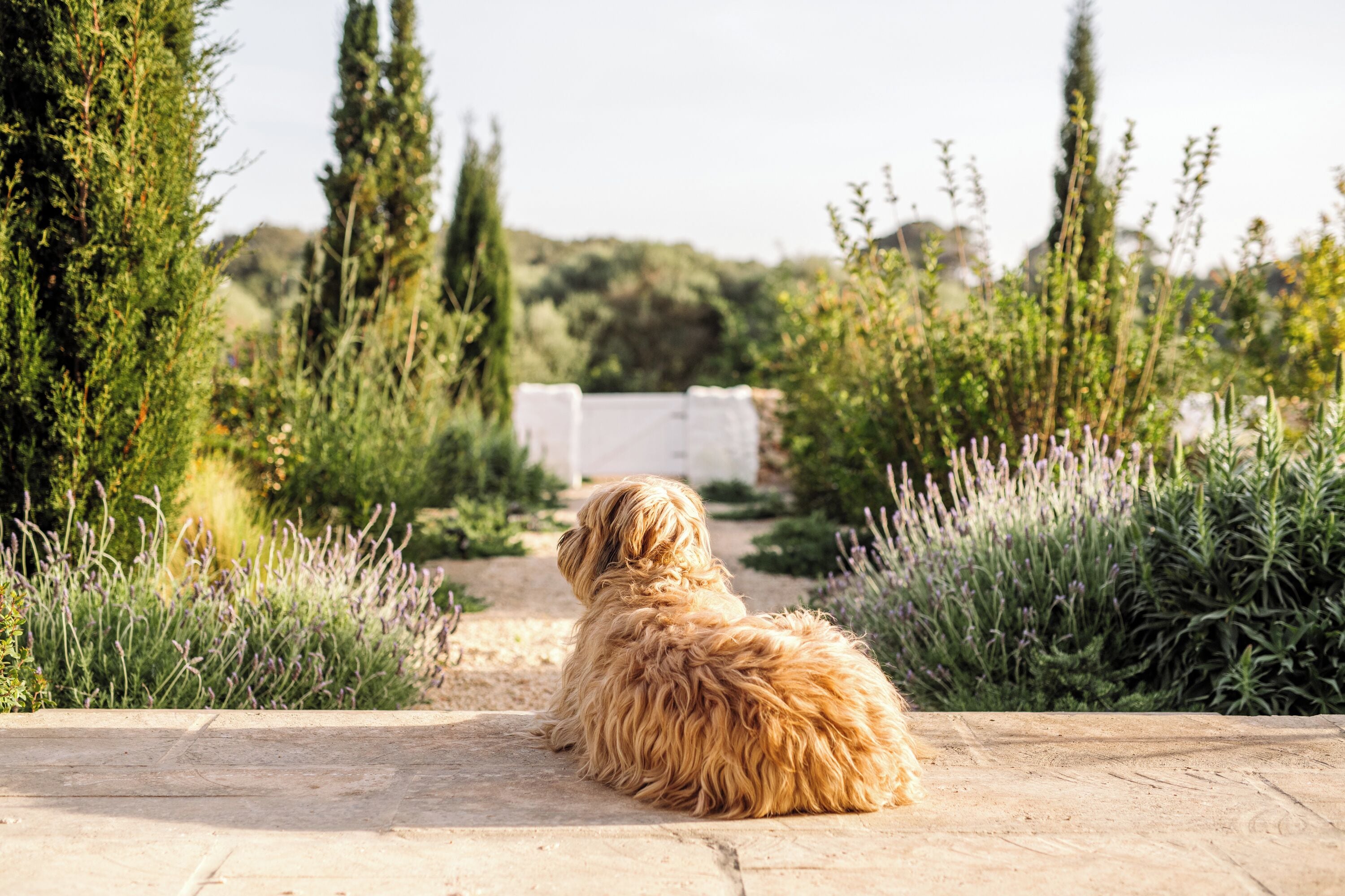 Photo - Amagatay Luxury Boutique Hotel - Adults Only