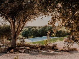 Una piscina al aire libre, sombrillas, sillones reclinables de piscina