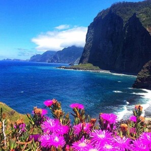 A coastal landscape with cliffs and a clear blue sea. - Quinta Safari House montains and ocean views (Ribeira Brava, Madeira)