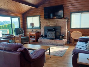 Smart TV, fireplace, DVD player, books