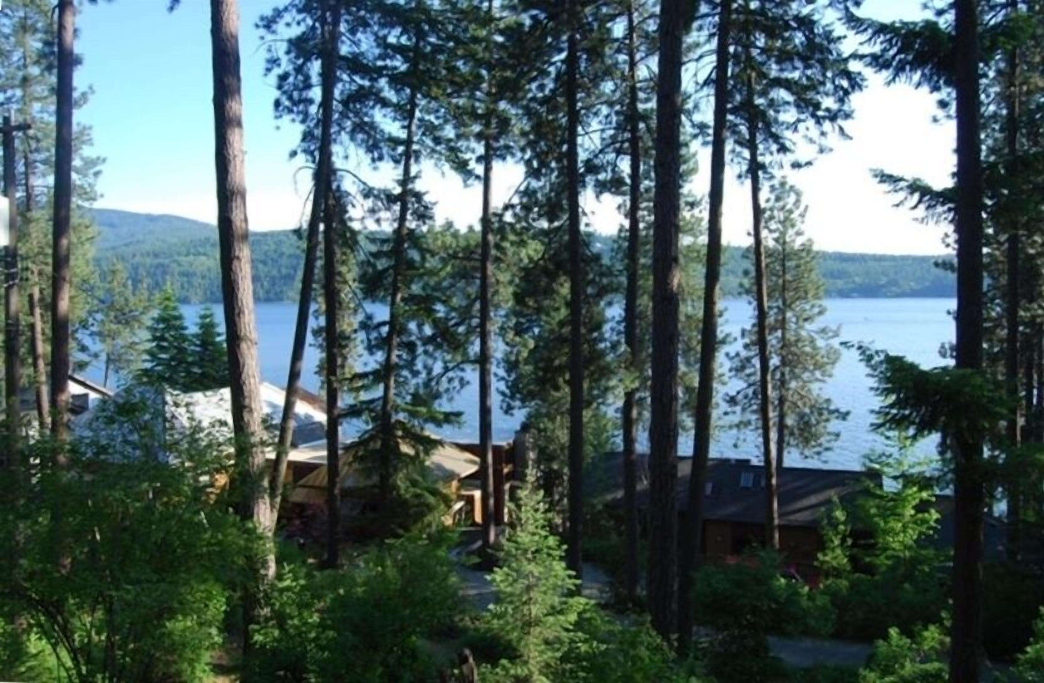 A cabin surrounded by tall pine trees with a lake in the background.