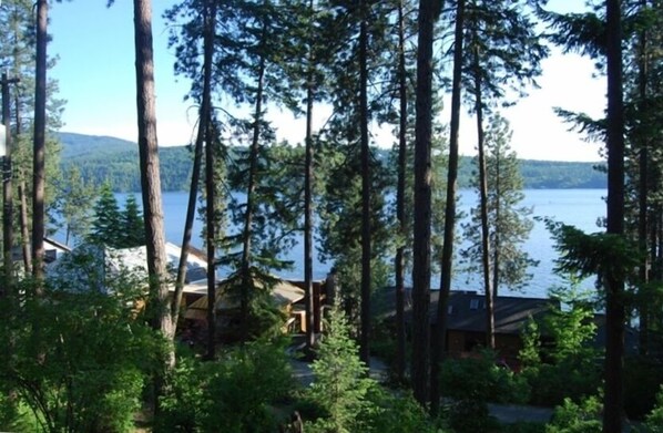 A cabin surrounded by tall pine trees with a lake in the background.