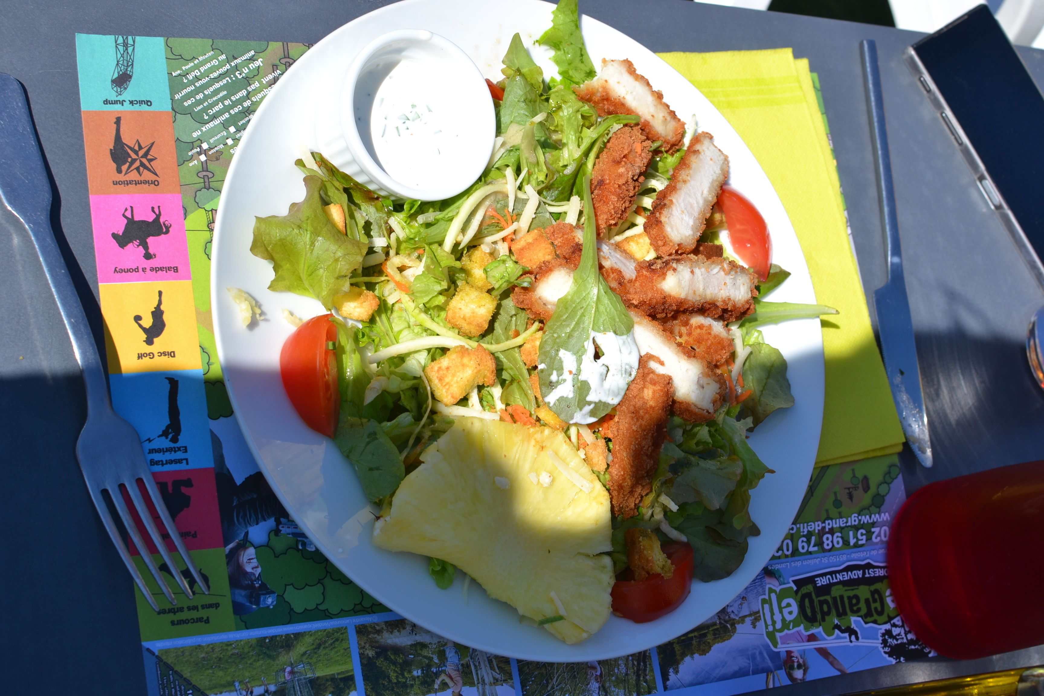 Ein Teller mit Essen, dazu ein Salat und eine kleine Schale mit Dressing.