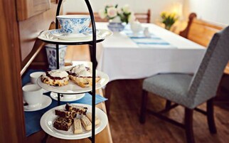 Café da manhã continental grátis todos os dias