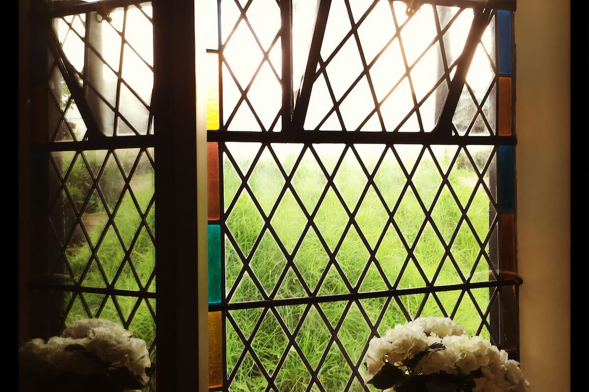 Vista desde la habitación