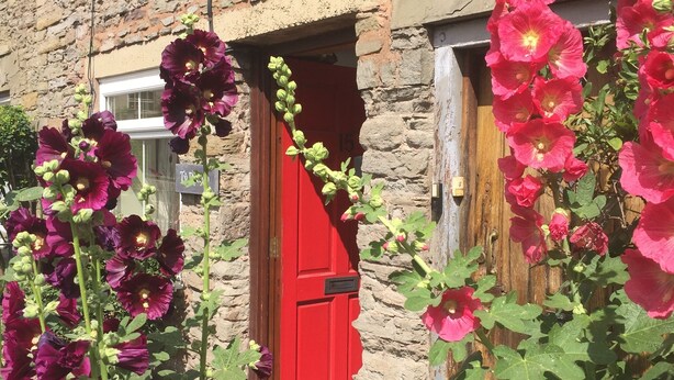 Edifici de pedra amb una porta vermella i finestres, envoltat de plantes florejants.