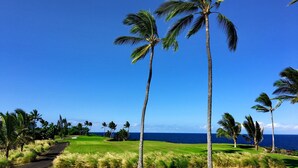 A golf course with palm trees and a view of the ocean. - OCEANFRONT 3+2.5 AC Pickleball Onsite! Walk to Keauhou Bay & Kahaluu Beach Park (Kailua-Kona)