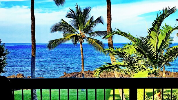 A poolside view with a clear view of the ocean and palm trees. - OCEANFRONT 3+2.5 AC Pickleball Onsite! Walk to Keauhou Bay & Kahaluu Beach Park (Kailua-Kona)