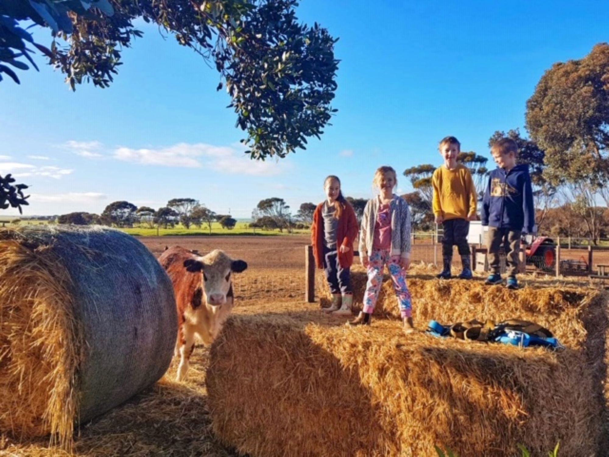 Peg's Place Farm Stay - 佩格斯广场欢迎游客 — image 6