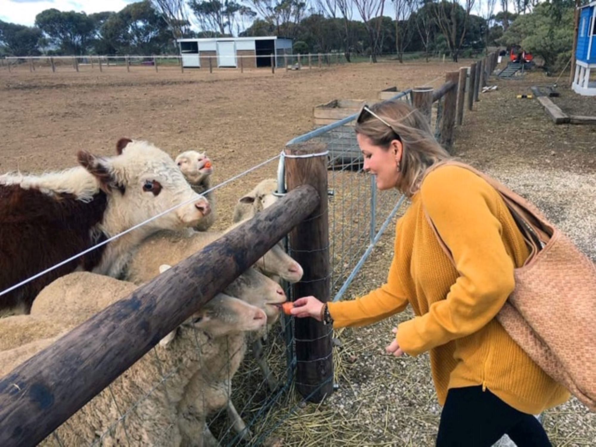 Peg's Place Farm Stay - 佩格斯广场欢迎游客 — image 4