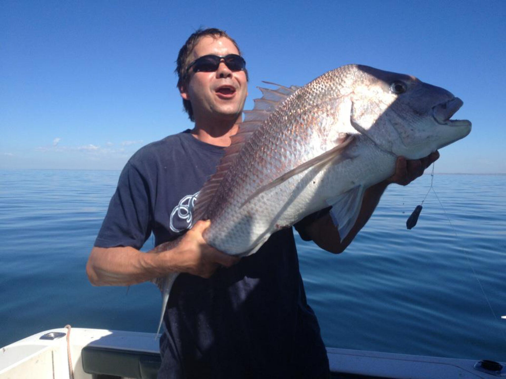 Peg's Place Farm Stay - 佩格斯广场欢迎游客 — image 24