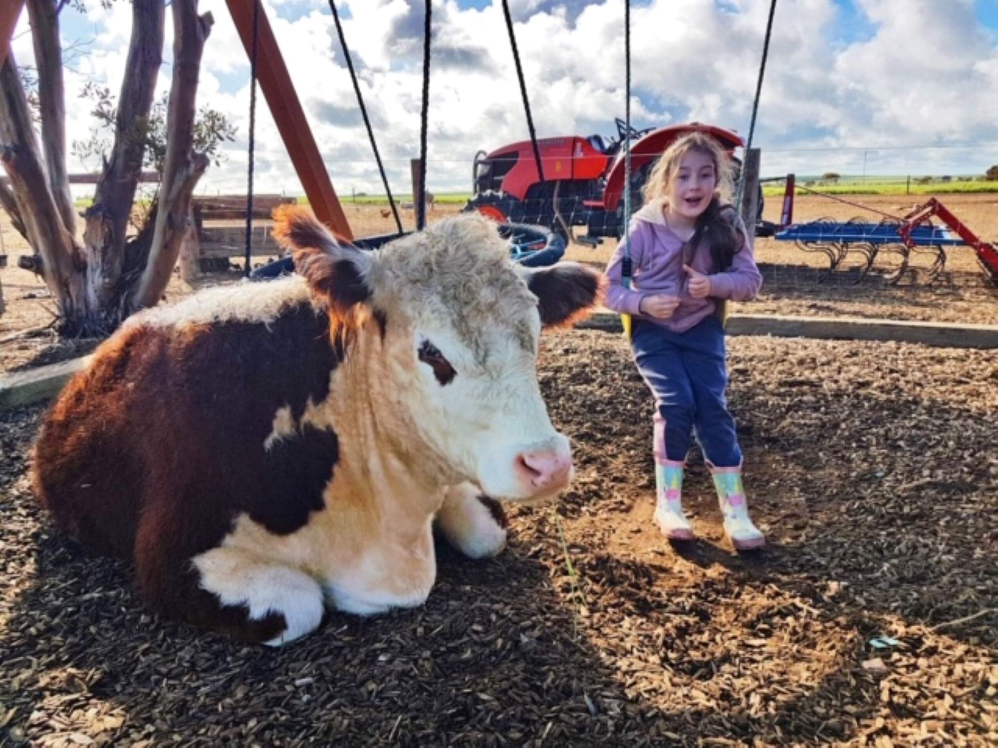 Peg's Place Farm Stay - 佩格斯广场欢迎游客 — image 28