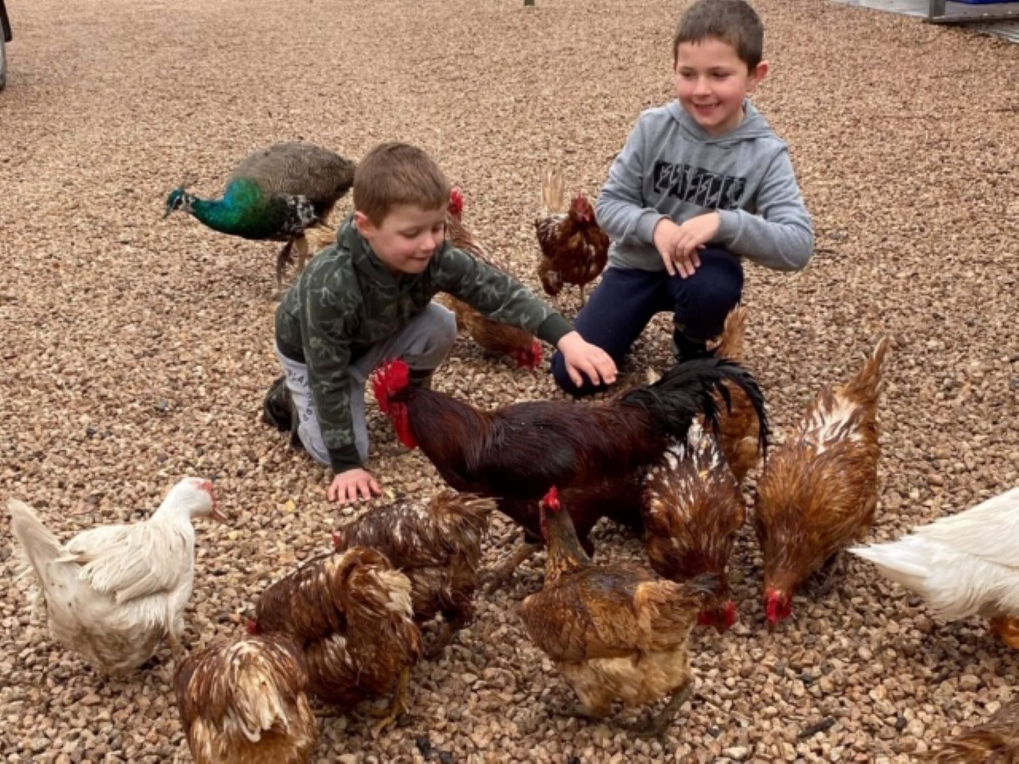 Peg's Place Farm Stay - 佩格斯广场欢迎游客 — image 21