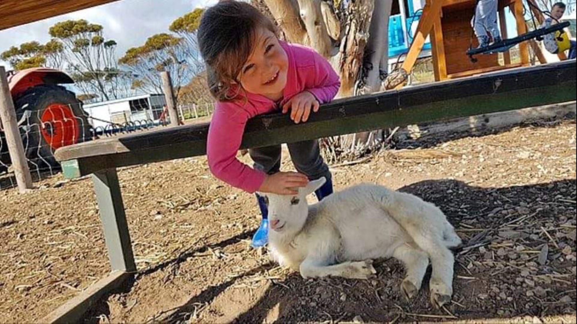 Peg's Place Farm Stay - 佩格斯广场欢迎游客 — image 5