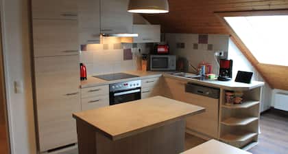 Holiday apartment Drosi on the mountain