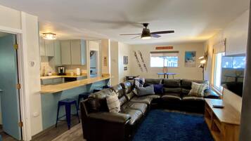 TV, fireplace, video games, DVD player