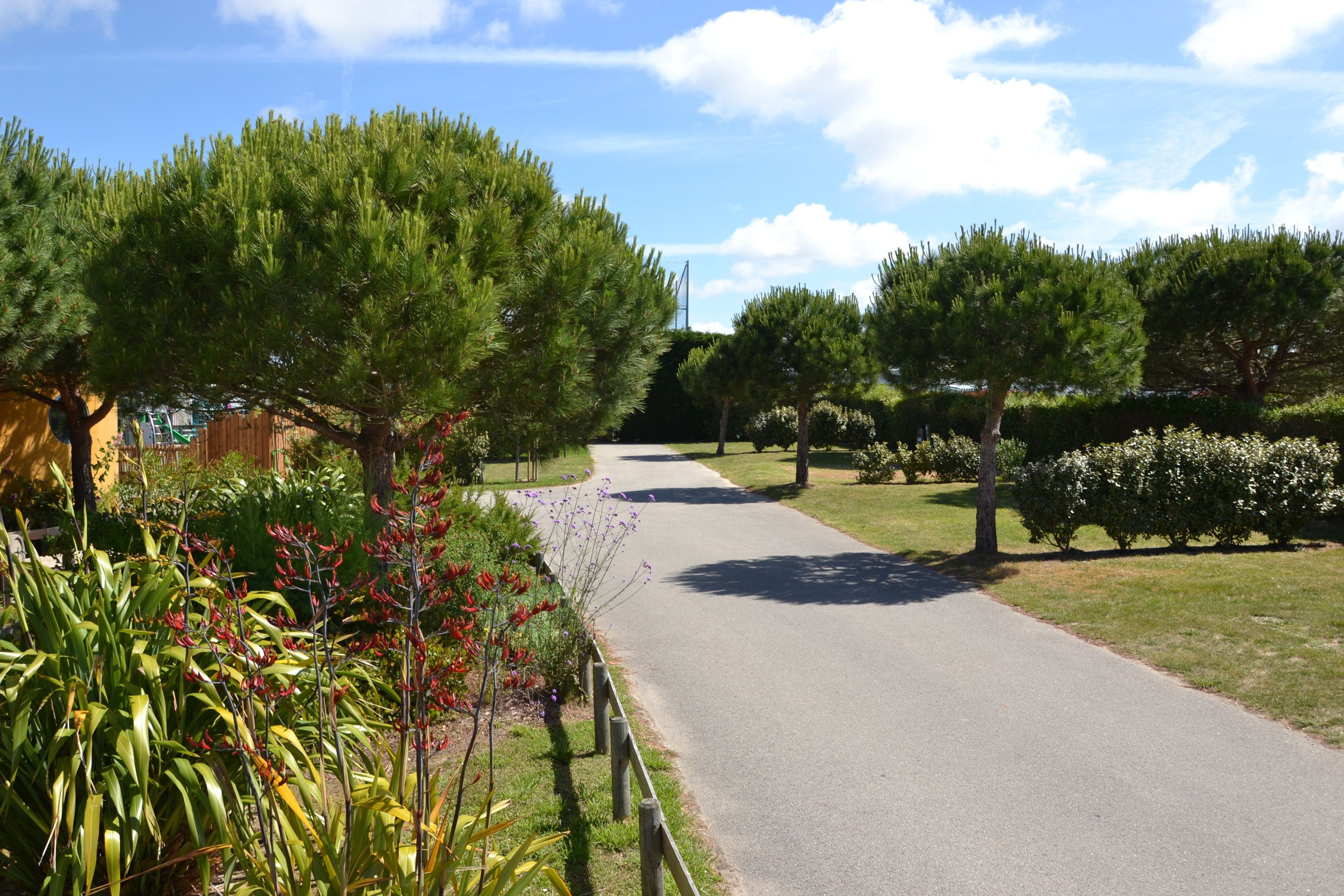 Um caminho pavimentado ladeado por árvores verdes e plantas floridas.