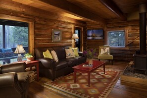 Smart TV, fireplace, DVD player, books