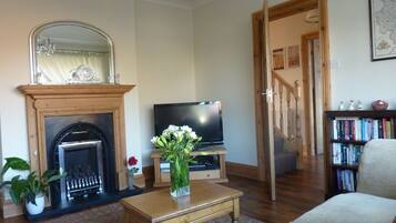 Smart TV, fireplace, DVD player, books