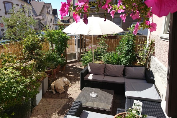 Sunny afternoon on the terrace