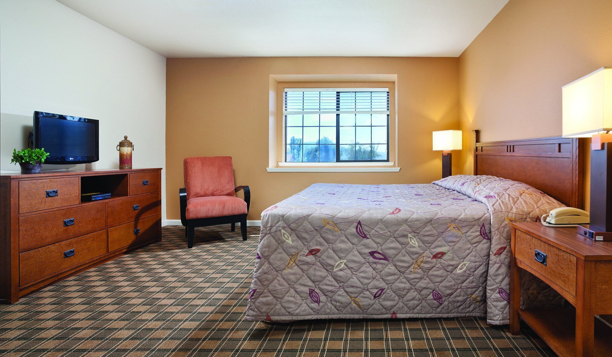 Welcome to Clear Lake!