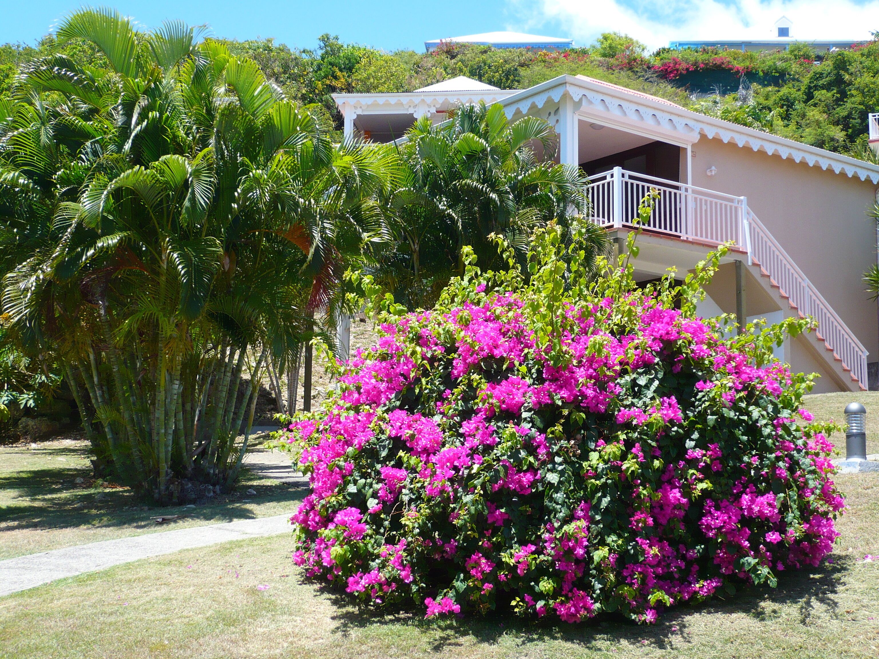 Overnattingsstedets uteområder