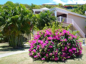 Property grounds - Studio Cannelle - n° 733 Anse des Rochers - Guadeloupe (Saint-François)