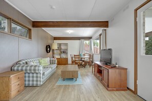 Smart TV, DVD player, books, video library