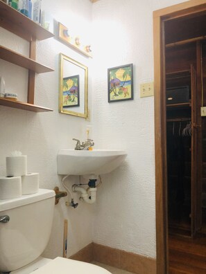 Hair dryer, towels, toilet paper
