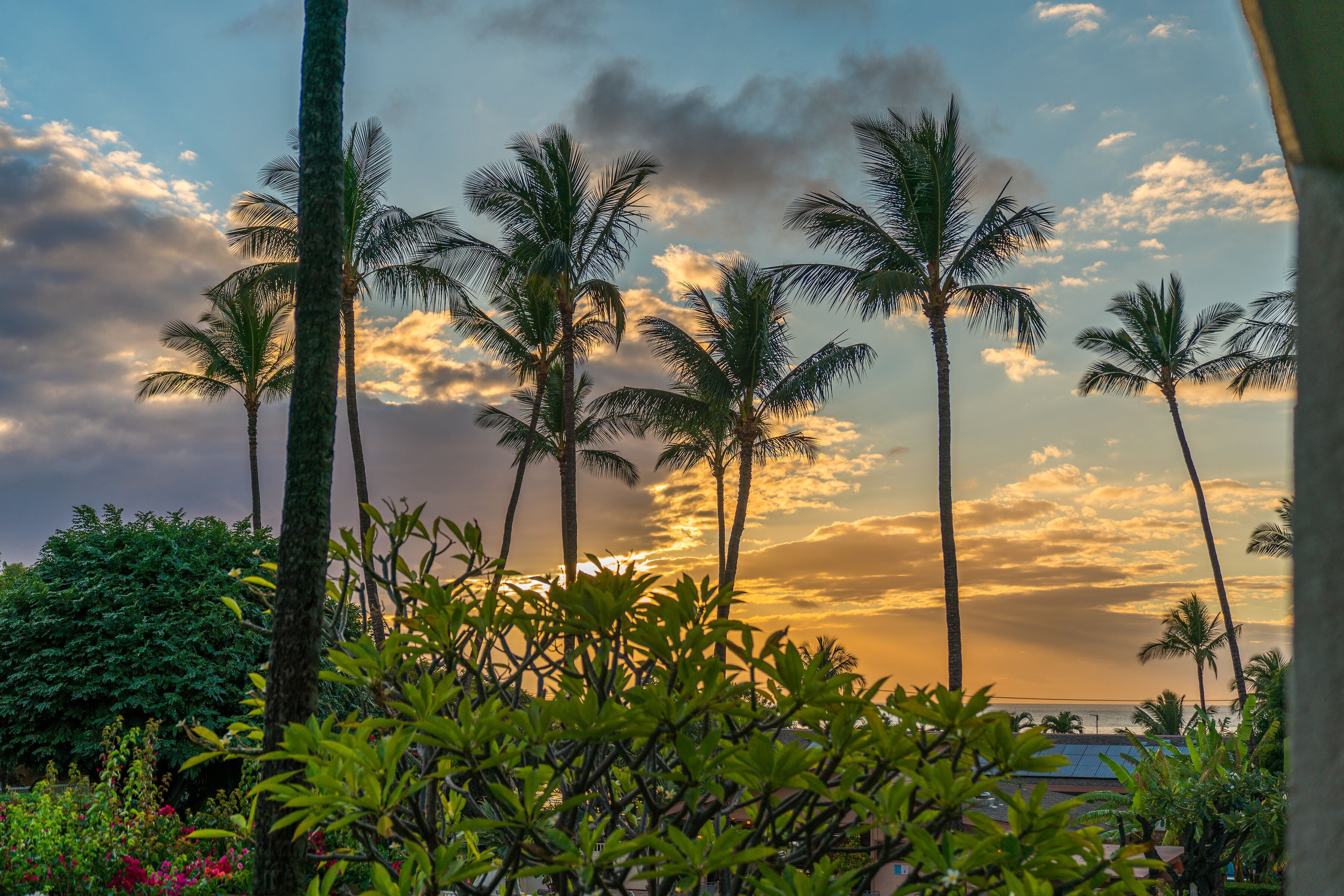Paisagem tropical com palmeiras e um pôr do sol.