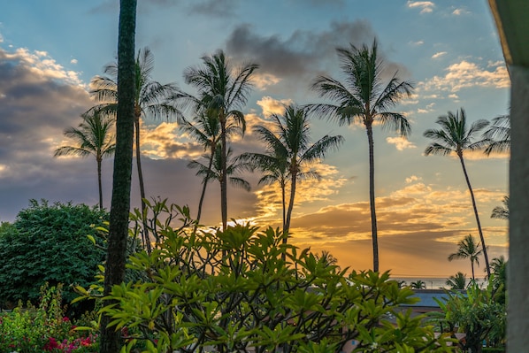 Un paisaje tropical con palmeras y un atardecer.