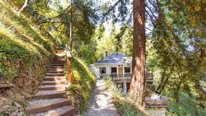 A wooden staircase leading to a house surrounded by trees.