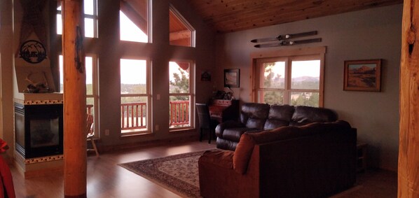 Smart TV, fireplace, DVD player, books