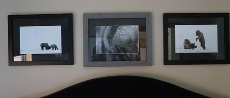 Drie ingekaderde foto's aan een muur.