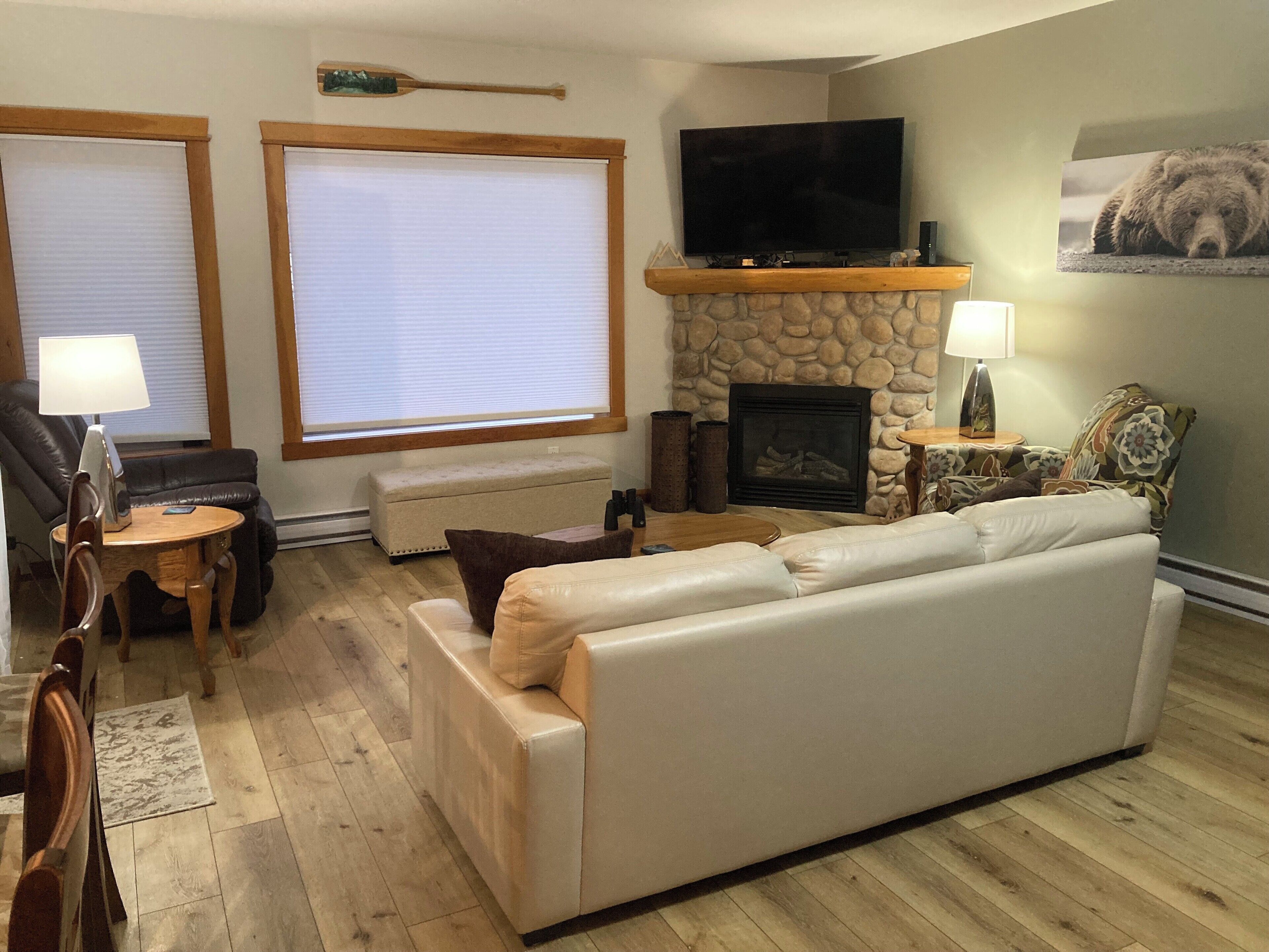 Smart TV, fireplace, DVD player, books