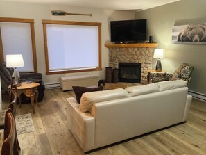 Smart TV, chimenea, reproductor de DVD y libros 