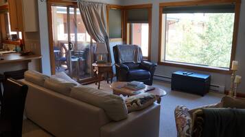 Smart TV, fireplace, DVD player, books